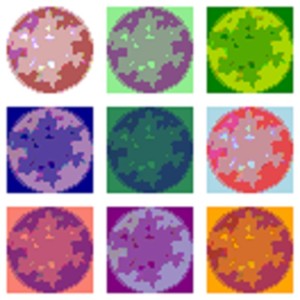 Warhol Snowflake 2